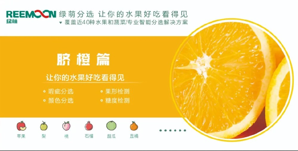 糖度可視化 好吃看得見【臍橙篇】來源：客家新聞網(wǎng)訊 記者何亮報道據(jù)悉，2019年，贛州市臍橙種植面積達到162萬畝、產(chǎn)量122萬噸，產(chǎn)值129億元。?20多年前，一批和新奇士品質(zhì)相近的贛南臍橙，用低于新奇士一半的價格出售，銷量卻并不見得比新奇士好。如今，贛南臍橙產(chǎn)值129億元，是什么讓贛南臍橙聲名鵲起？綠萌臍橙果表瑕疵