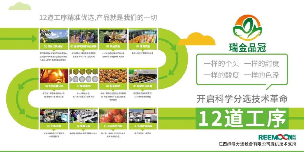 綠萌分選 讓您的水果好吃看得見 2020年11月27日，由瑞金市品冠農(nóng)業(yè)發(fā)展有限公司承辦的2020紅都品冠贛南臍橙以“綠水青山、紅色傳橙”為主題的推介會在沈陽舉行。瑞金品冠圍繞“紅色傳橙、綠色情懷、生態(tài)共建、品牌強農(nóng)”的理念，堅持要把優(yōu)質(zhì)贛南臍橙推介給東北人民，為此，瑞金品冠挑選優(yōu)質(zhì)臍橙果園基地