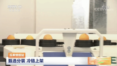 連線采訪＋現(xiàn)場直播7月20日CCTV農(nóng)業(yè)農(nóng)村頻道、央視頻APP深度報(bào)道湖北老河口黃桃產(chǎn)業(yè)發(fā)展情況綠萌作為果蔬智能科技分選企業(yè)憑借AI（人工智能）算法以及光譜技術(shù)為老河口黃桃產(chǎn)業(yè)賦能而亮相央視在此之前綠萌因?yàn)橹袊卟珊髽?biāo)準(zhǔn)建設(shè)賦能已經(jīng)多次亮相于央視黃桃作為老河口的“富農(nóng)果”，身肩重任。全市3.5萬畝黃桃如何打造價(jià)格