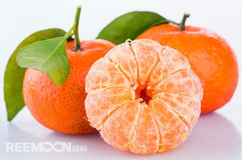 近幾年，砂糖橘逐漸跌落“神壇”，價(jià)格急速下滑。產(chǎn)能過(guò)剩、集中上市、競(jìng)爭(zhēng)增大......不少問(wèn)題圍繞著砂糖橘產(chǎn)業(yè)的發(fā)展。難道真的就要走向末路了嗎？砂糖橘口感清甜似砂糖，入口即化，富含維生素、葡萄糖、胡蘿卜素等多種營(yíng)養(yǎng)元素，且市場(chǎng)歡迎度高、老少皆宜，擁有廣闊的市場(chǎng)空間。近年來(lái)砂糖橘價(jià)格一路低走，產(chǎn)業(yè)模式的問(wèn)題